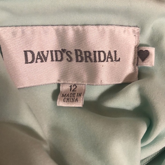 David’s Bridal Long Mint Mesh Bridesmaid Dress Size 12 - Picture 7 of 7